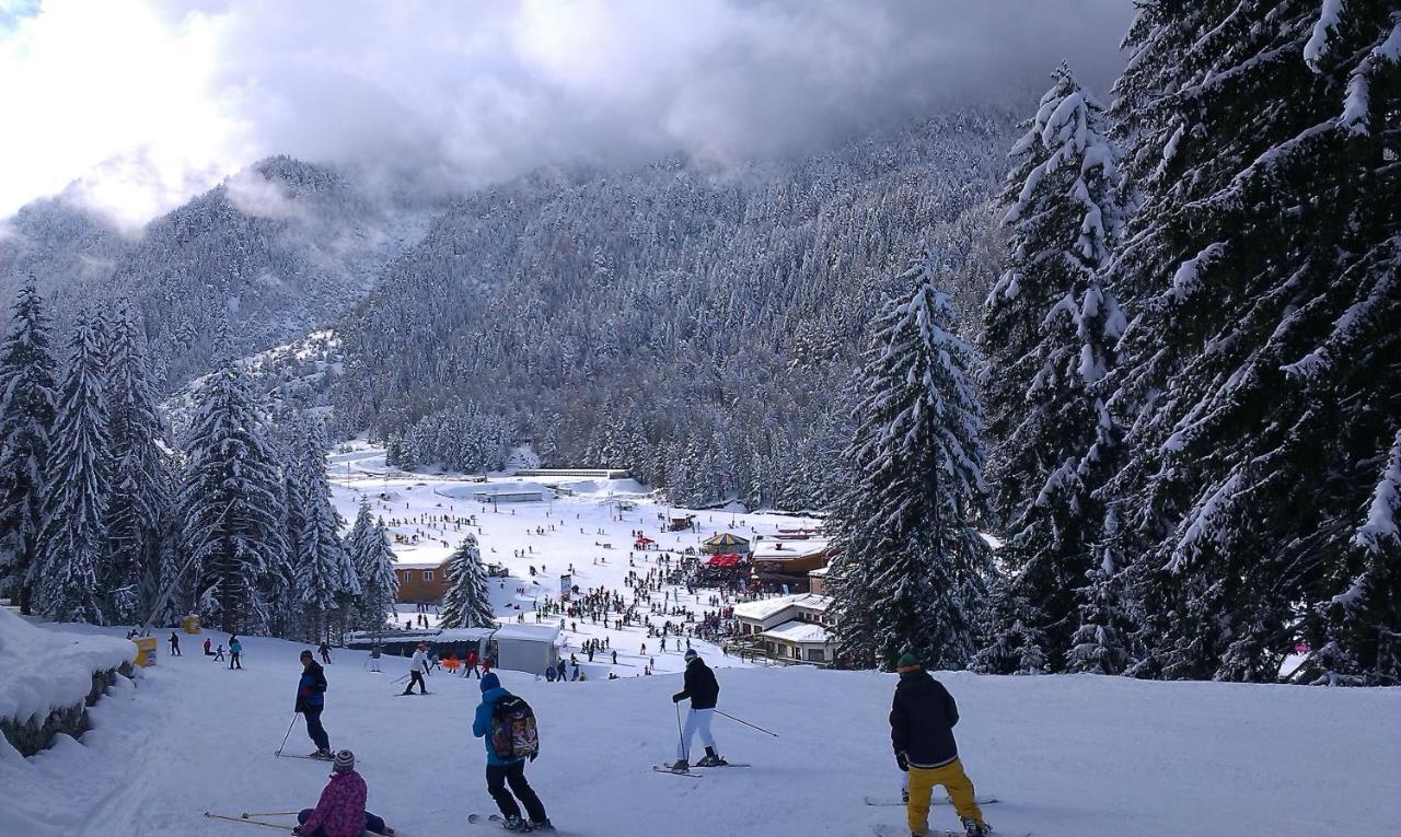 Aspen Studio Mountain Retreat At Aspen Resort Golf Ski & Spa Razlog Bagian luar foto